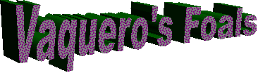 Vaquero's Foals