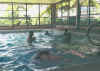 SWIM.JPG (38377 bytes)