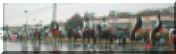 panorama_rearshot.jpg (31336 bytes)